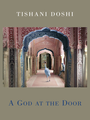 A God at the Door - ebook